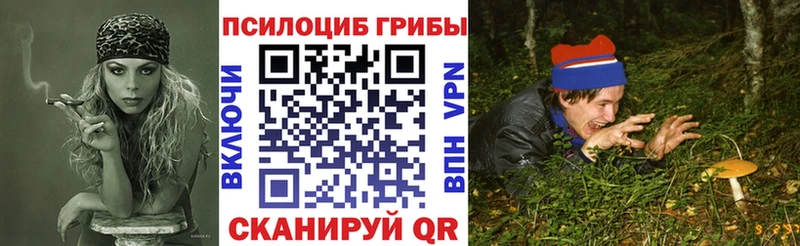 Псилоцибиновые грибы мицелий Сясьстрой